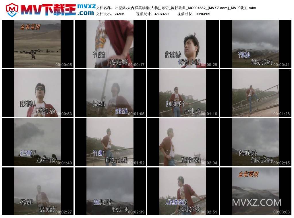 叶振棠-大内群英续集(人物)_粤语_流行歌曲_MC901882